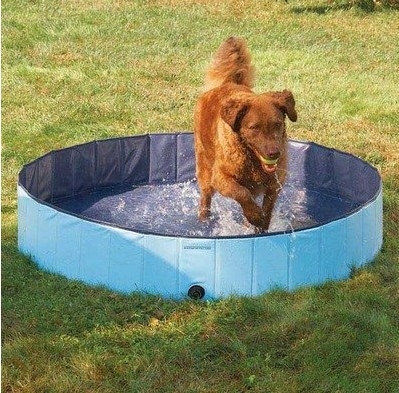家の環境に優しいのためのカスタマイズされたポリ塩化ビニール携帯用犬の浴槽